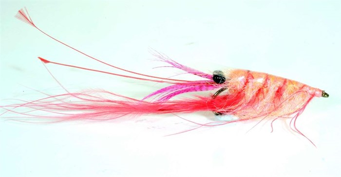 A.Jensen SEATROUT - Crangon Shrimp - Shrimp Pink